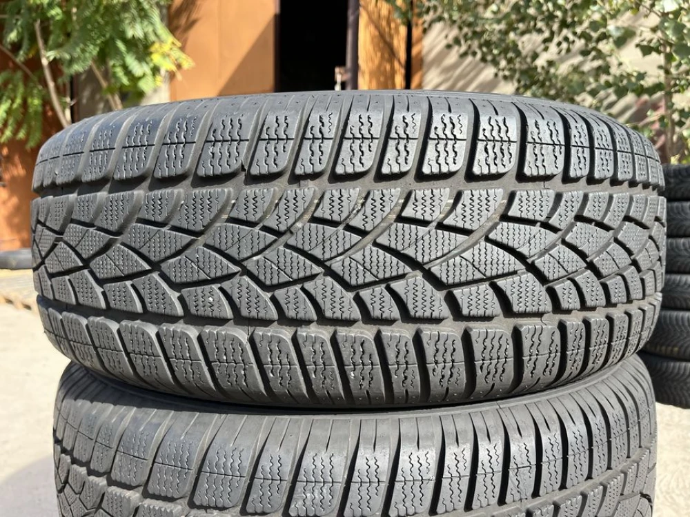 235/55 r18 Dunlop Winter Sport 4D Резина зимняя