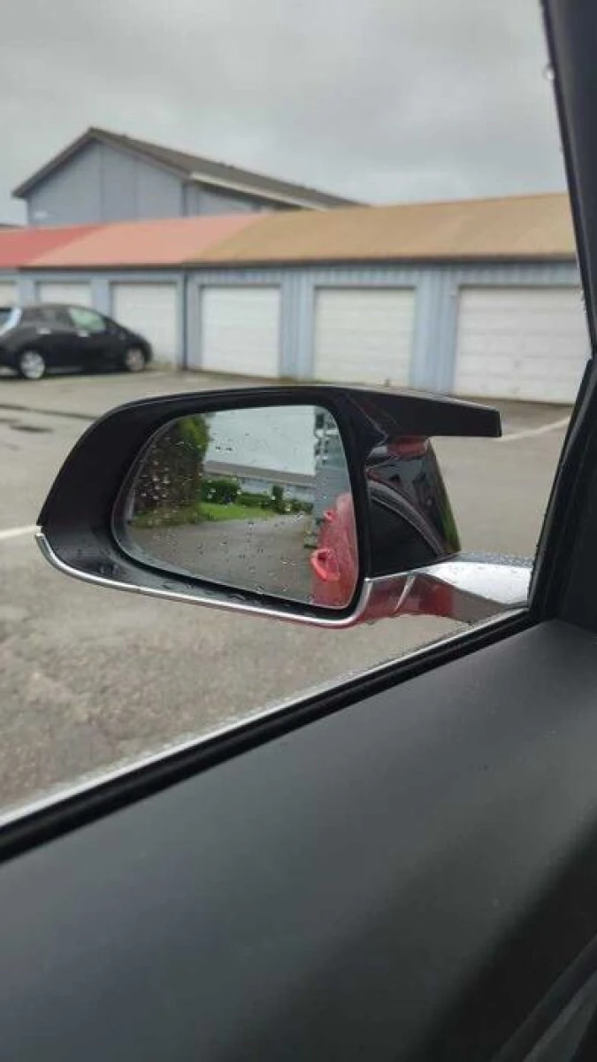 Накладки на зеркала Tesla Model 3 лопухи тюнинг (чорний глянц)