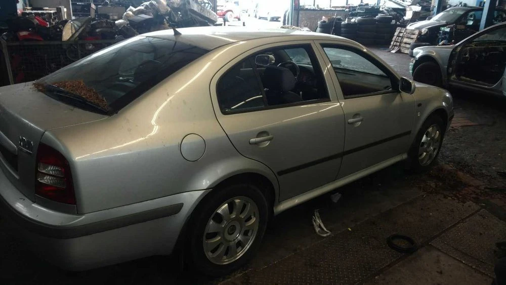 Дверка Skoda tur в асортименті