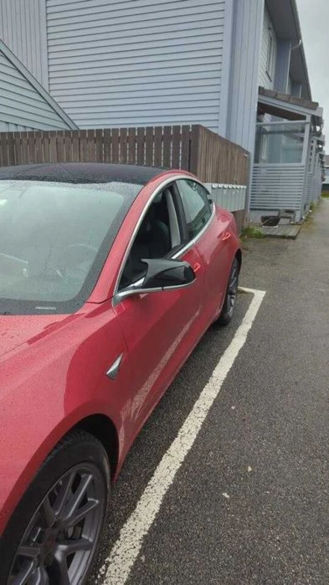 Накладки на зеркала Tesla Model 3 лопухи тюнинг (чорний глянц)