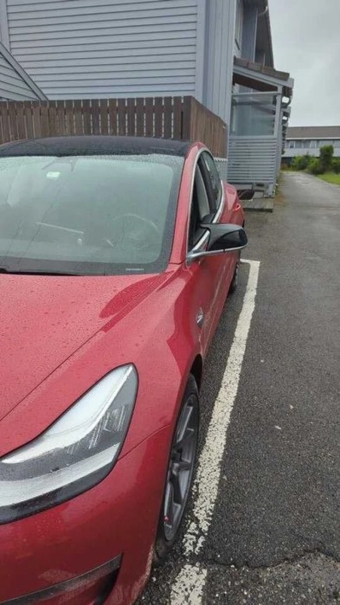 Накладки на зеркала Tesla Model 3 лопухи тюнинг (чорний глянц)