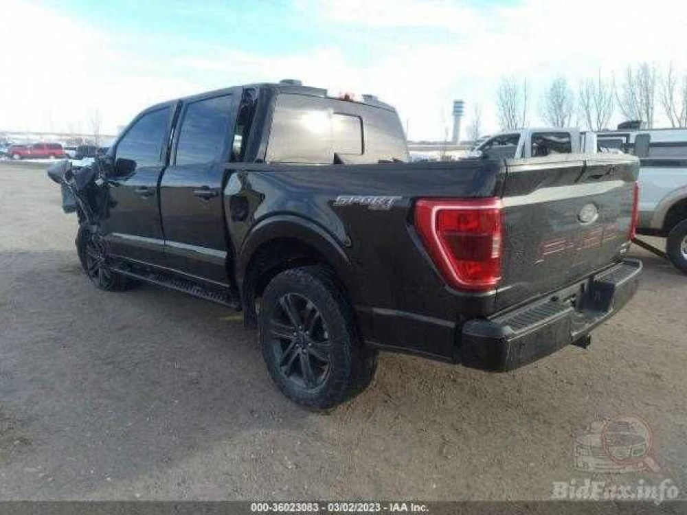 Ford F-150 2021+ двері