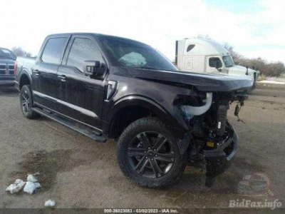 Ford F-150 2021+ двері